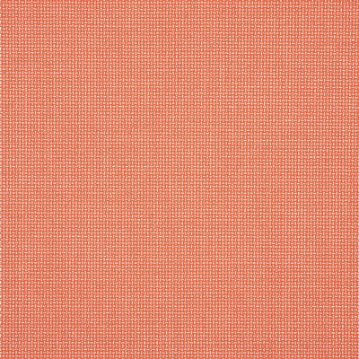 Silver State 48135 Bliss 06 Guava